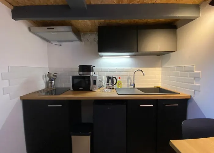 Le Mini Loft - Studio - L'hermitage * 泰恩·埃米塔日